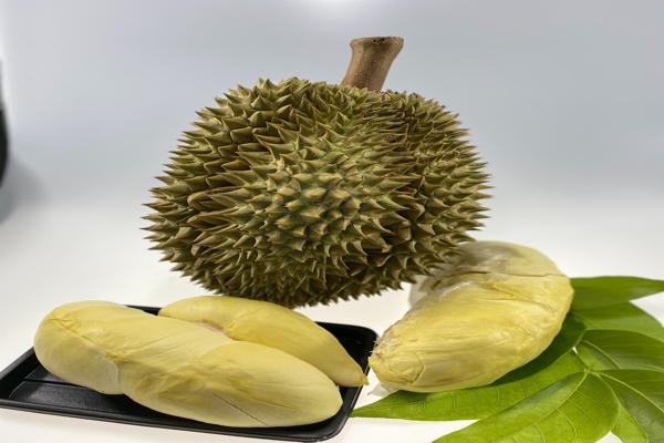 ผลิตภัณฑ์ผลไม้สด ระดับพรีเมี่ยม