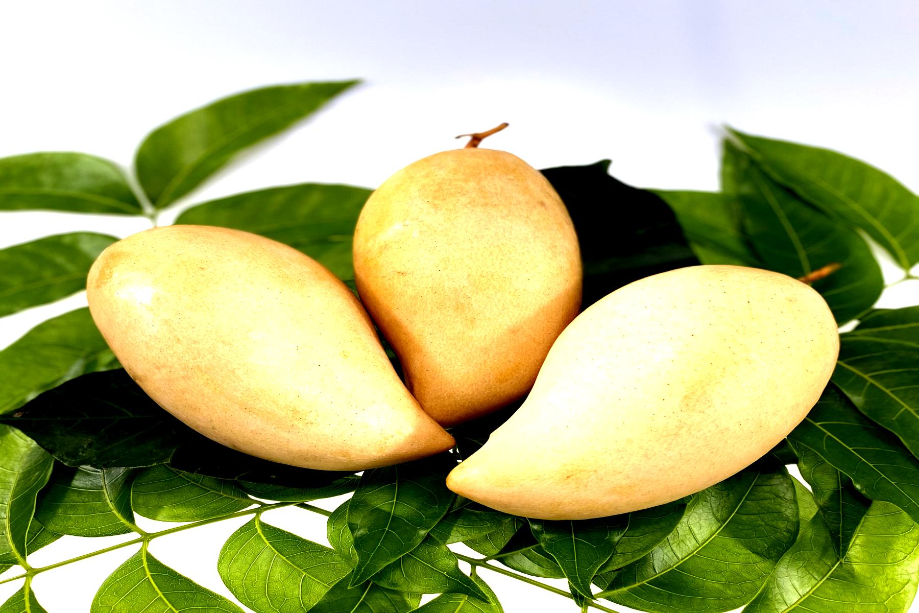 ผลิตภัณฑ์ผลไม้สด ระดับพรีเมี่ยม