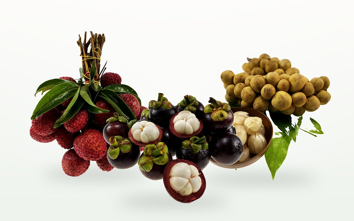 Lychee, mangosteen and longan, studio shot
